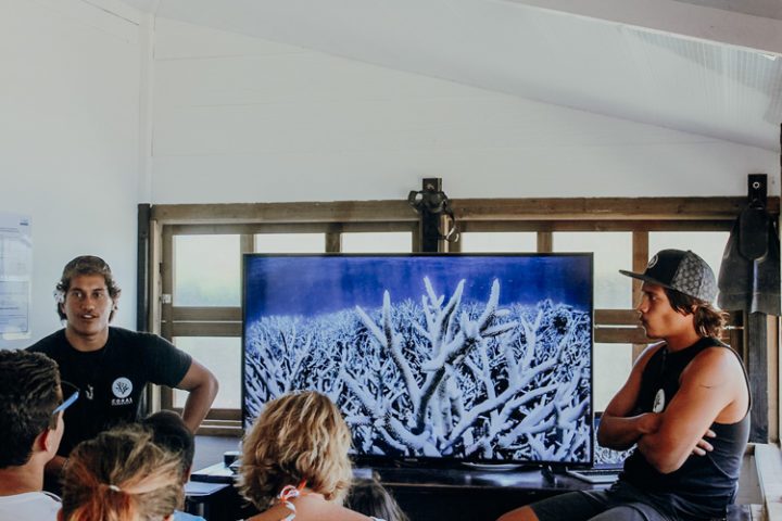 Coral Gardeners Moorea Französisch Polynesien