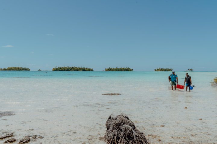 Ein Ausflug in die blaue Lagune Rangiroa