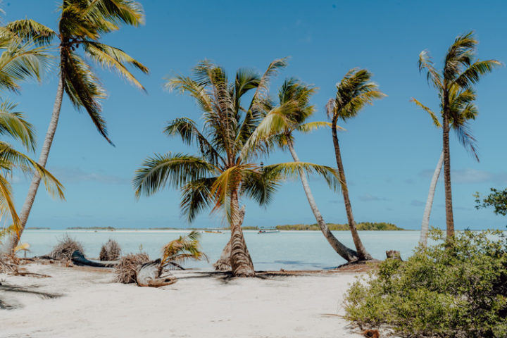 Ein Ausflug in die blaue Lagune Rangiroa