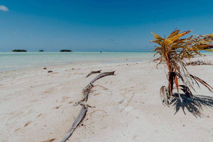 Ein Ausflug in die blaue Lagune Rangiroa