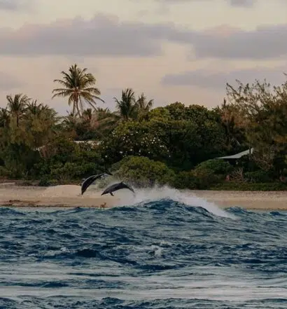 Urlaub auf Rangiroa – zu Gast auf dem zweitgrößten Atoll der Welt