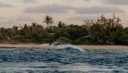 Meine Bucket List – Träume und Ziele einer Weltreisenden