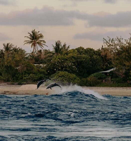 Urlaub auf Rangiroa – zu Gast auf dem zweitgrößten Atoll der Welt