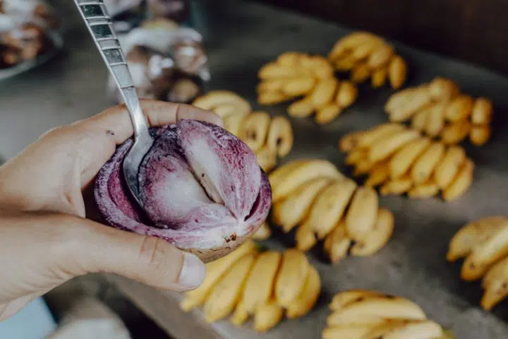 tropische Früchte in Französisch Polynesien – Sternapfel