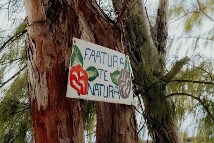 Strand an der Westspitze von Tuherahera Tikehau