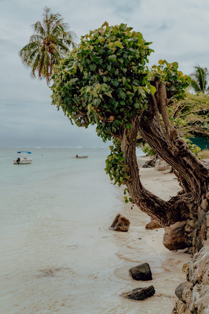 Tiki Village Moorea Französisch Polynesien