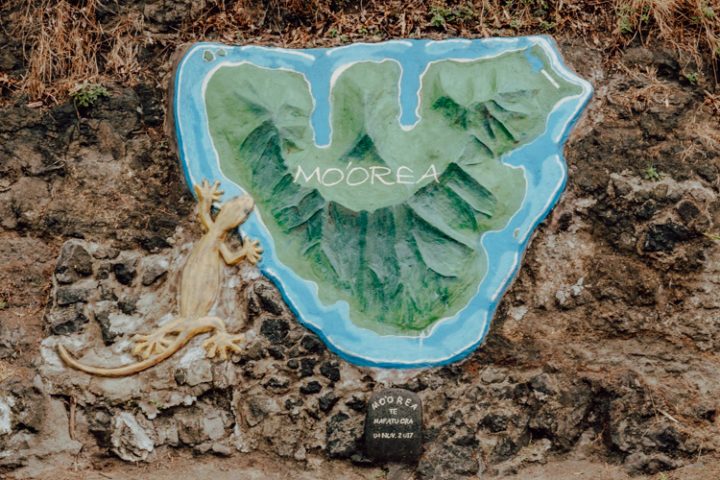 Toatea Lookout Moorea Französisch Polynesien