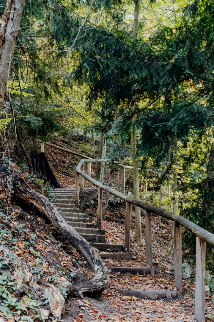 Geniesse den Ausblick vom Bürglstein