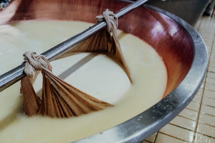 Latteria Santo Stefano in Basilicagoiano Parma