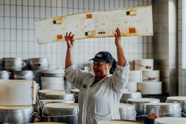 Latteria Santo Stefano in Basilicagoiano Parma