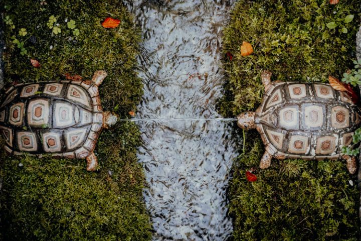 Schloss Hellbrunn Salzburg