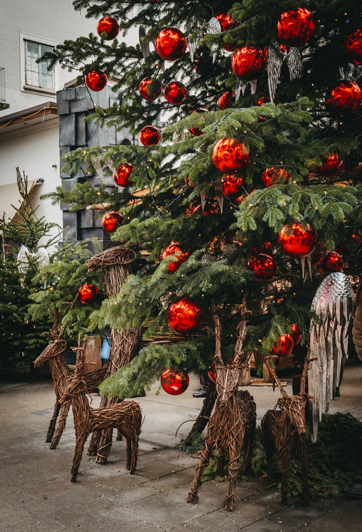 Sternadvent beim Sternbräu Salzburg