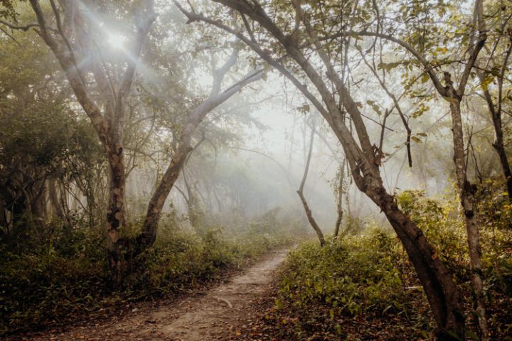 Der Weg zur Playa Libre – Isla Grande