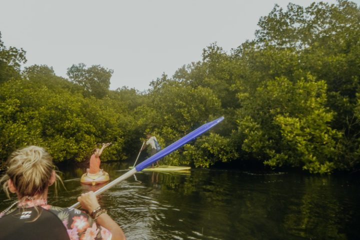Kajaktour durch die Lagunen der Isla Grande Kolumbien
