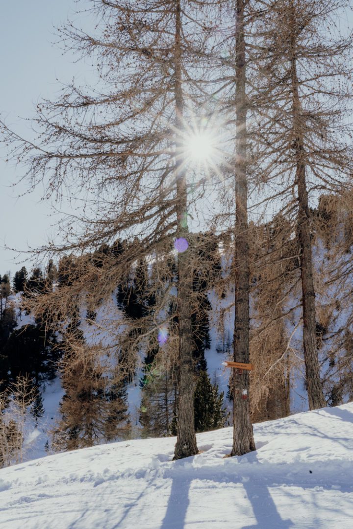Das Skigebiet Schöneben - Haideralm Vinschgau