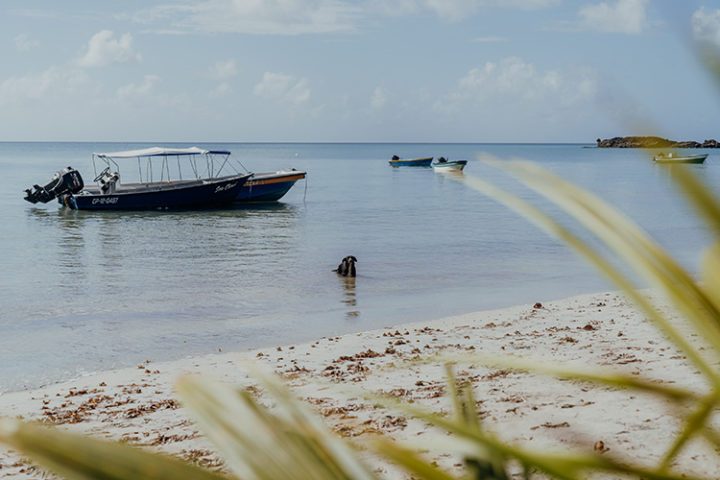 Southwest Bay Providencia Kolumbien
