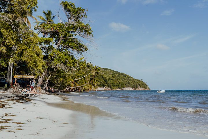 Bahia Manzanilla (Manchineel Bay) – Providencia