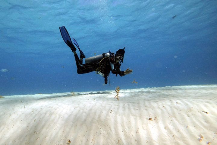 Manta City Tauchen auf Providencia – Kolumbien