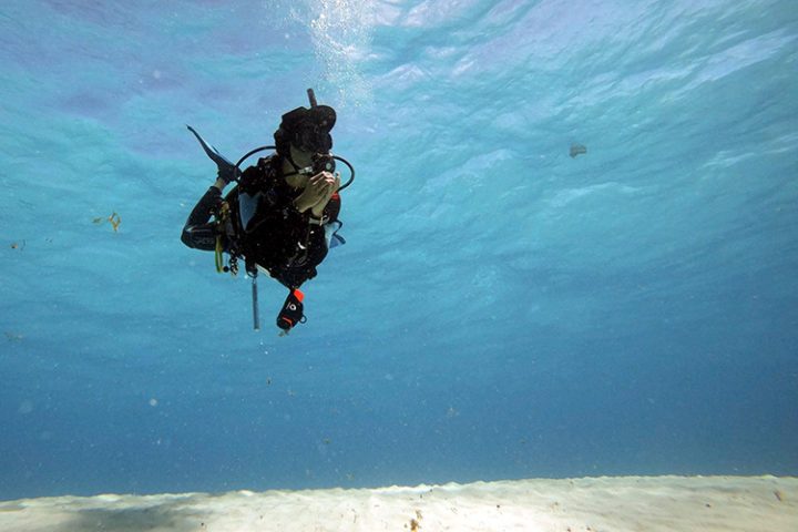 Manta City Tauchen auf Providencia – Kolumbien