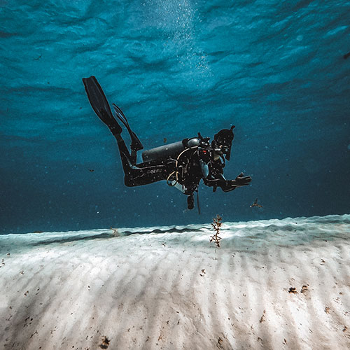 Providencia, das kolumbianische Taucherparadies