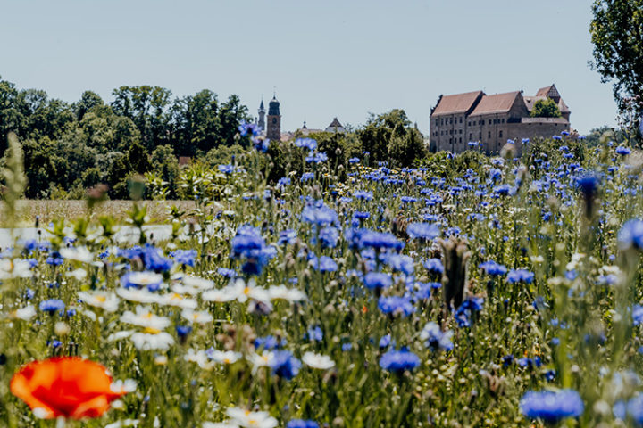 Auf dem Erlebnisradweg Hohenzollern nach Cadolzburg