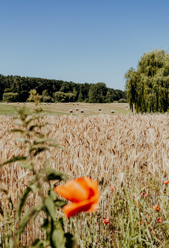 Der Erlebnisradweg Hohenzollern