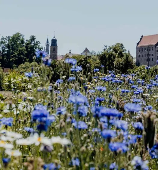 Erlebnisradweg Hohenzollern – auf den Spuren der Hohenzollern in Franken