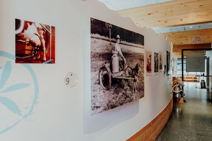 Ein Besuch in der Schaukäserei La Maison du Gruyère