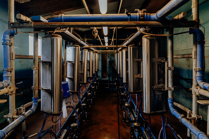 Milchbauernhof von Cédric Pharisa in Epagny