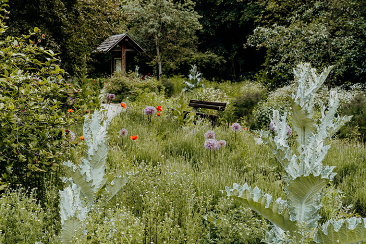 Der Aromagarten Erlangen