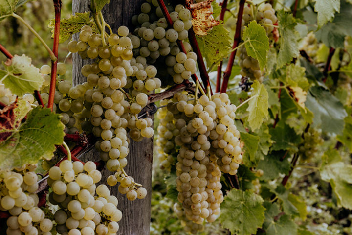 Nova Scotia – 9 Gründe für eine Reise in die Atlantikprovinz