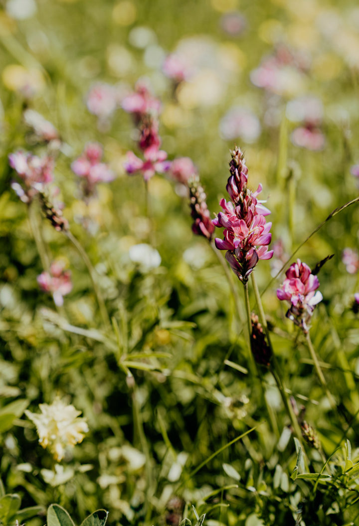 Entdecke die schönsten Wanderwege im Unterengadin Graubünden