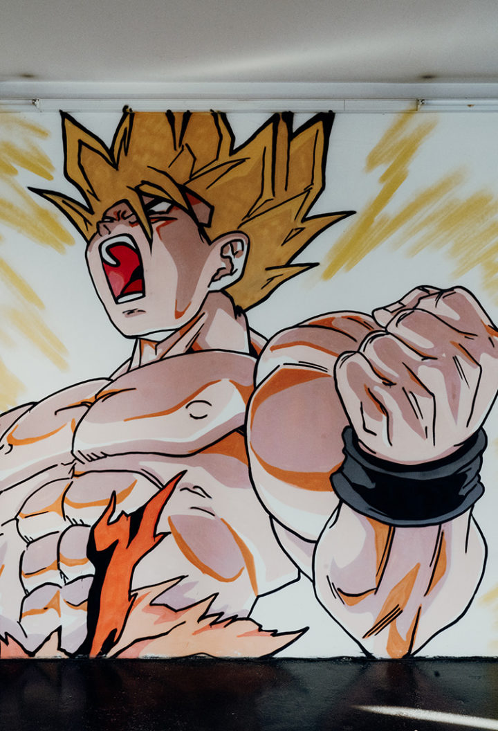 Museum auf Zeit in Linz