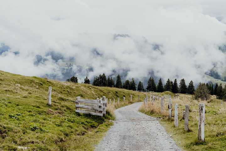 Wanderung von Rigi Kulm nach Rigi Kaltbad