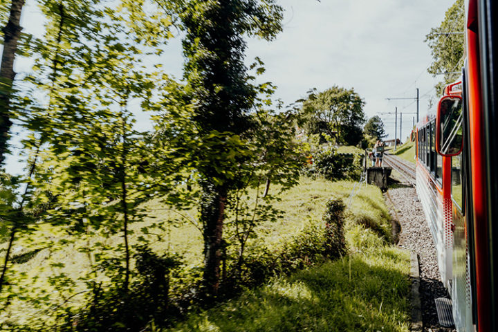 Anreise auf die Rigi mit der Zahnradbahn ab Vitznau