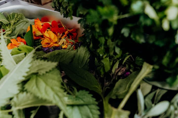 Zu Gast beim Kräuterwirt Dunziger