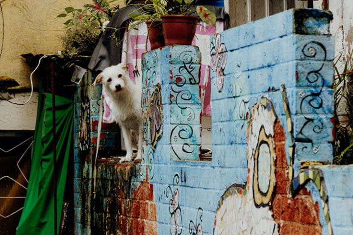 Street Art in Rio de Janeiro