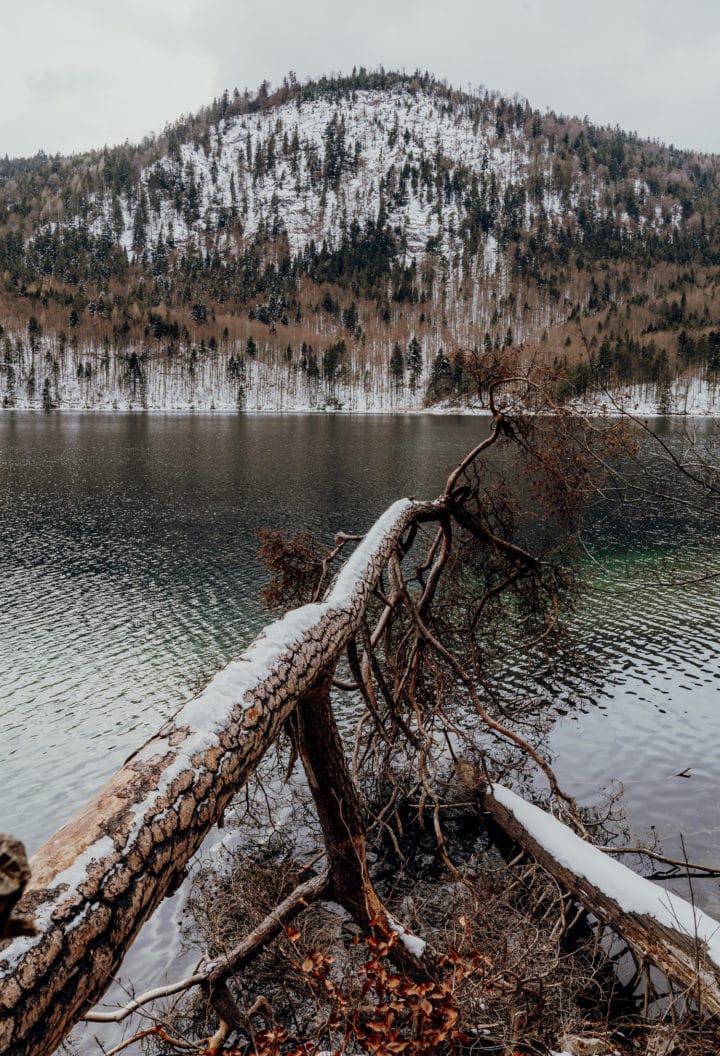 Wanderung von Hohenschwangau um den Alpsee