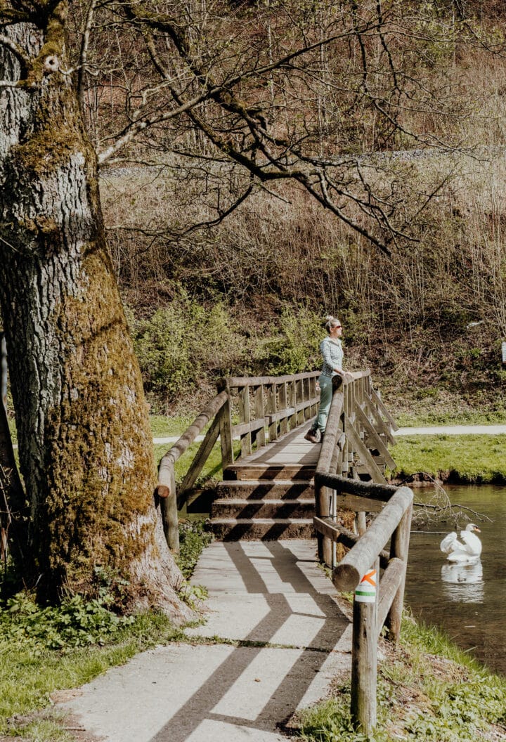 Rupprechtstegen durchs Pegnitztal zurück nach Velden