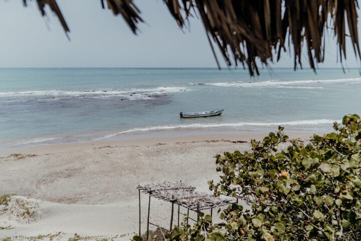 Eine Bootstour ab Treasure Beach mit Captain Joseph