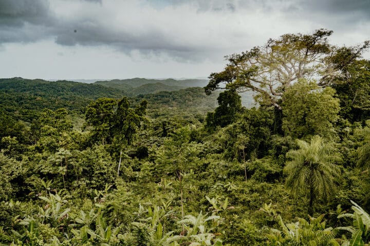Jamaica Giants Sculpture Park