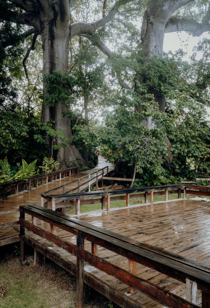 Jamaica Giants Sculpture Park