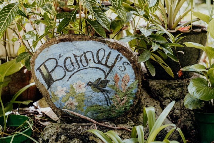 Barney’s Flowers & Hummingbird Garden Negril