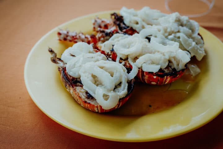 fangfrischer jamaikanischer Lobster