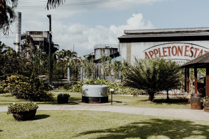 Appleton Estate in Jamaika