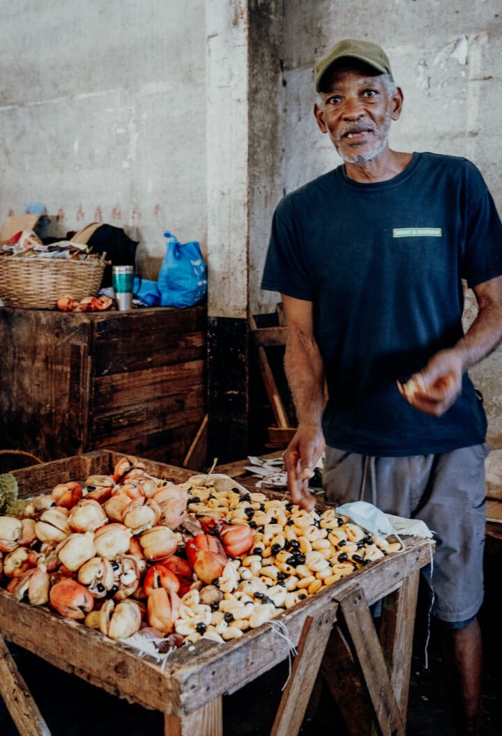 die jamaikanische Baumfrucht Ackee