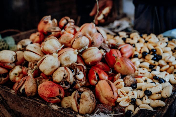 die jamaikanische Baumfrucht Ackee
