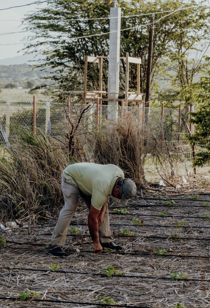 Bike Tour Treasure Beach
