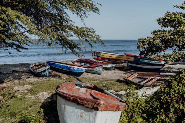 Bike Tour Treasure Beach
