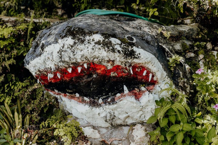 Ahhh… Ras Natango Gallery and Garden Jamaika